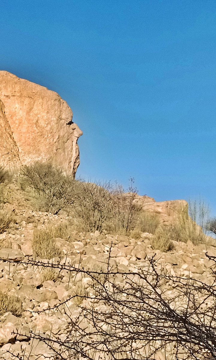 🇸🇦bahaj-محمد باحاج tweet media