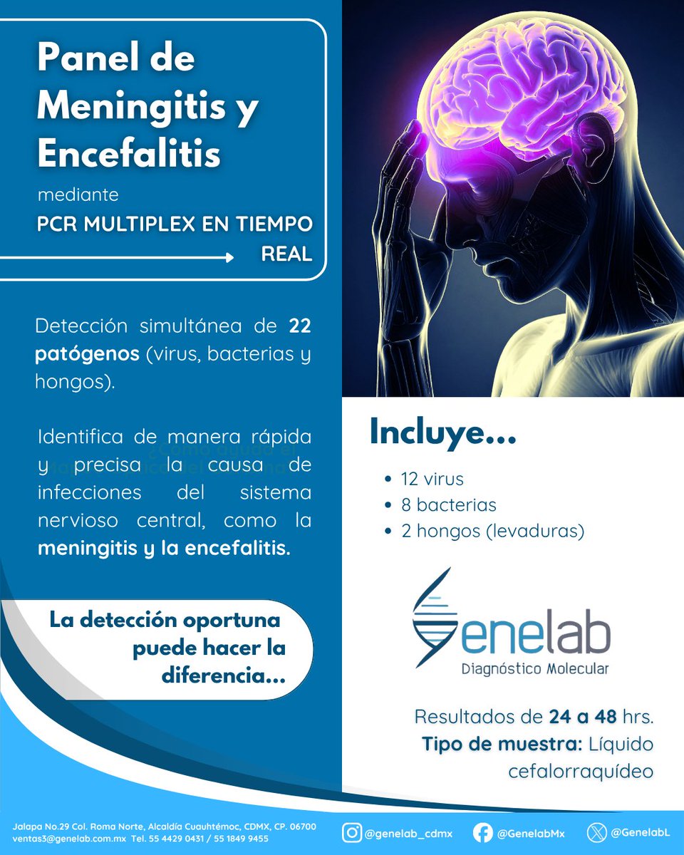 GenelabL's tweet image. 🧠 Con nuestro Panel de Meningitis y Encefalitis mediante PCR multiplex, es posible identificar de forma rápida y precisa los agentes causales de Meningitis y Encefalitis.

🔬 Resultados confiables en 24 a 48 horas.

📩Contáctanos al 55 1849 9455.

#Genelab #PCR #Meningitis