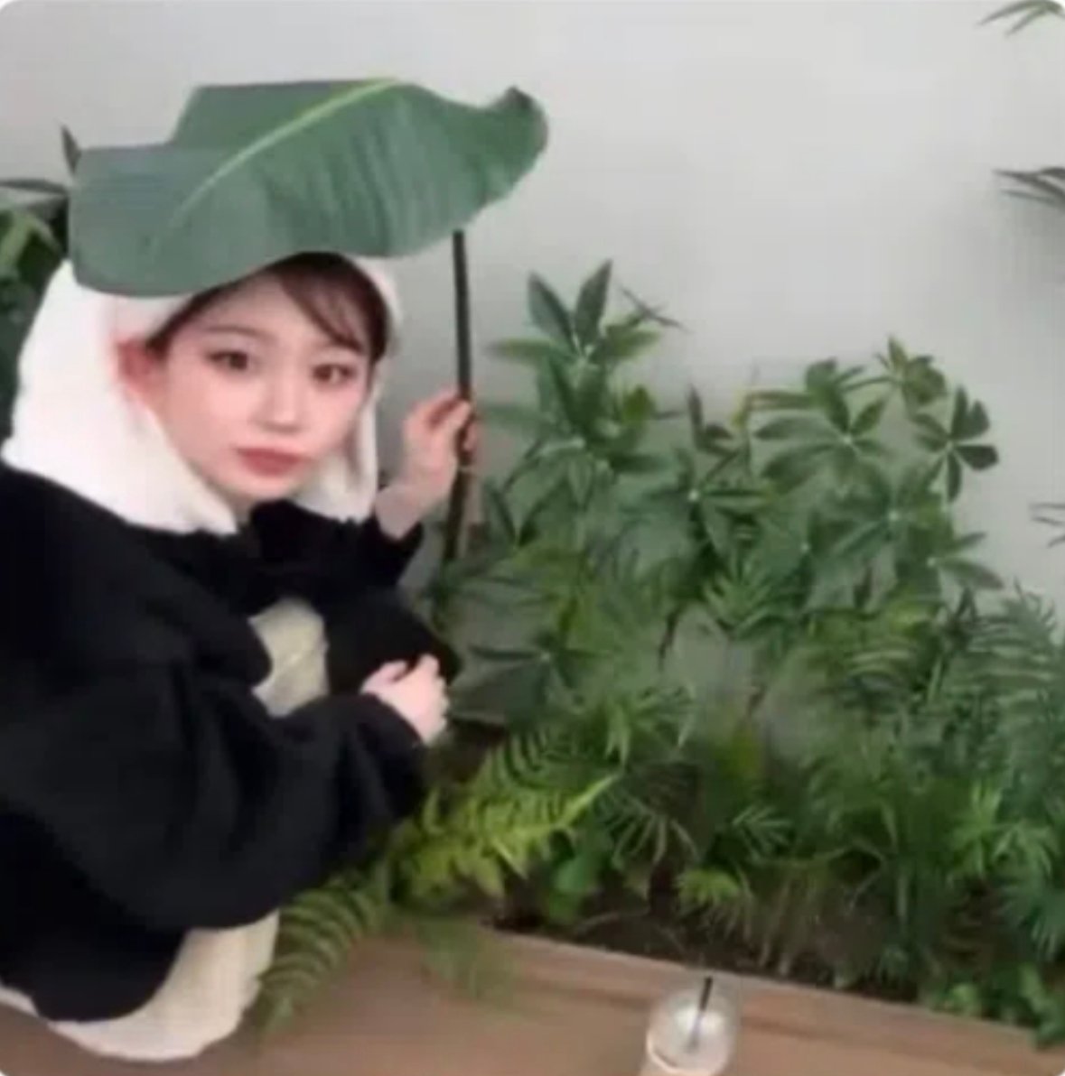 Santi🥝 is seeing TWICE tweet media