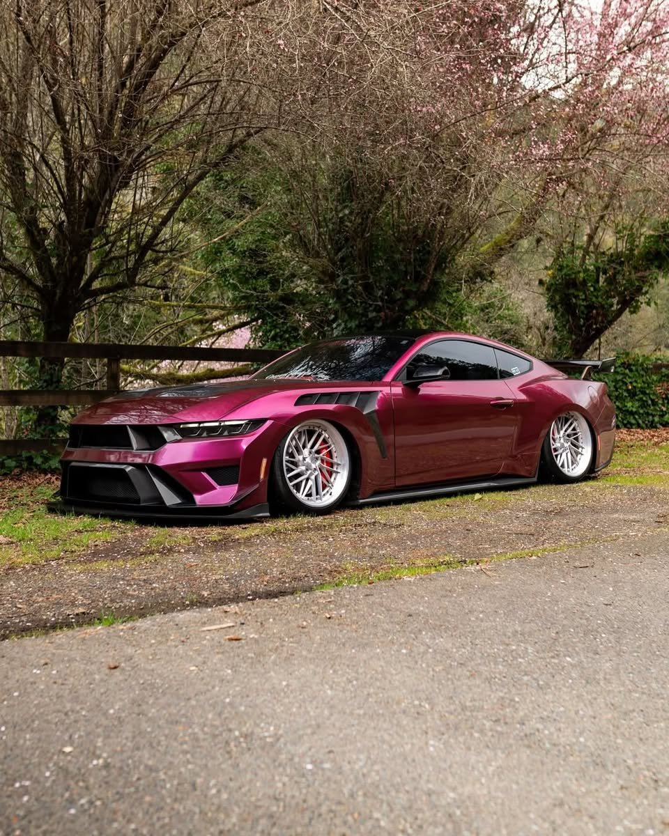EarnhardtFordAZ's tweet image. Say yes to new adventures. 💗
📸: @greg.marshall5.0
#Ford #FordMustang #MustangGT