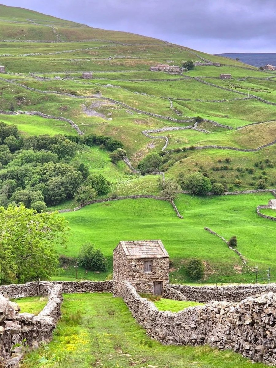 These dry stone walls aren’t just boundaries they’re a masterclass in sustainable building.

Skilled wallers selected stones of different shapes and sizes, building with a slight inward slope for stability. Each stone interlocks with its neighbours, held firmly by gravity and