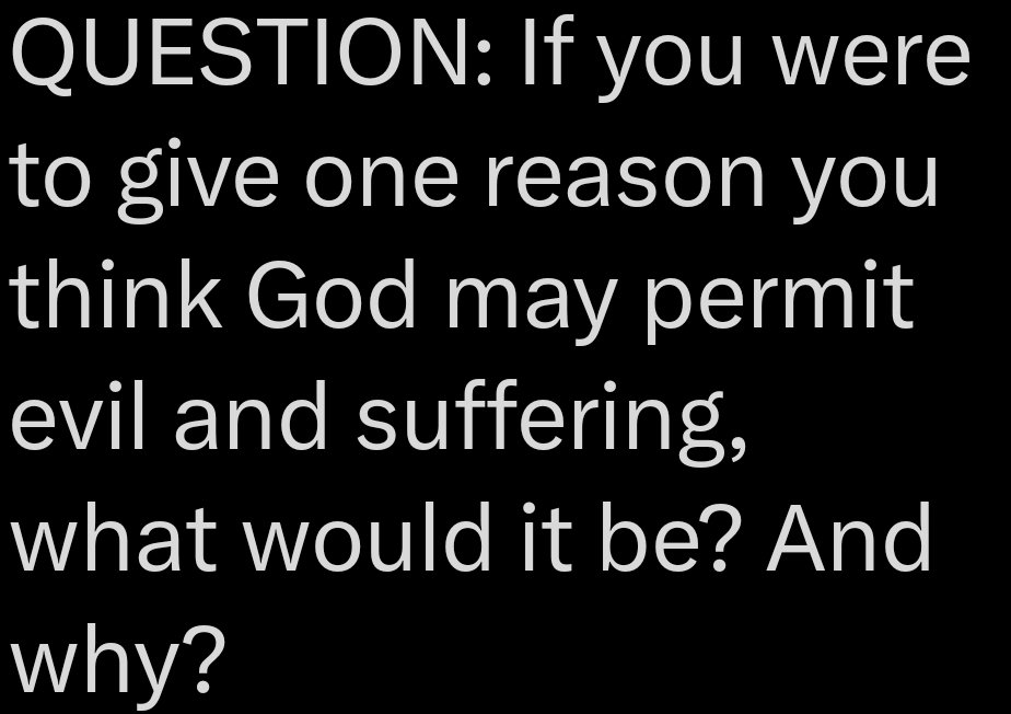 BLACK DUMPLING™ tweet media