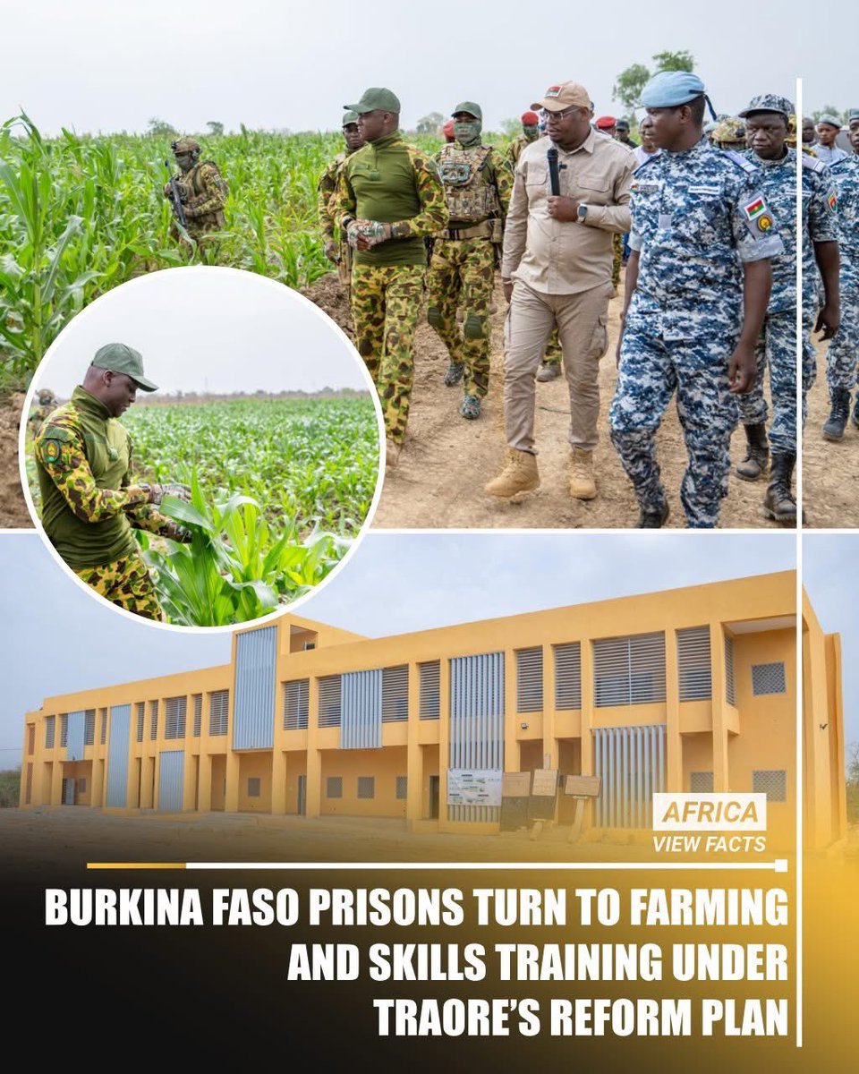 Francobonghan's tweet image. #BurkinaFaso is turning prisons into farms. At Baporo, inmates grow food, learn agro skills and can cut 3 months off their sentence for every month worked—linking dignity, food security and real rehabilitation. 

 #PrisonReform  #FoodSecurity #AgroIndustrialization #Agenda2063