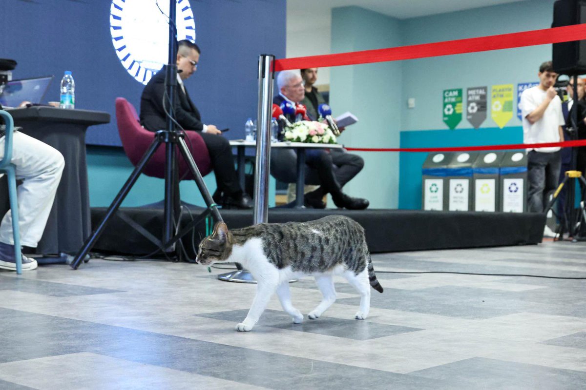 Müsavat Dervişoğlu tweet media