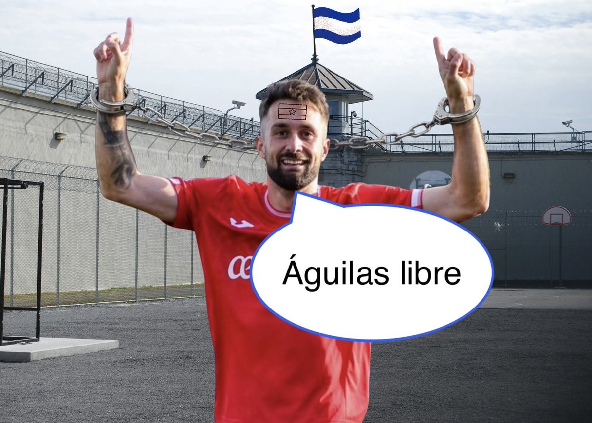 Tito Alfon tweet media