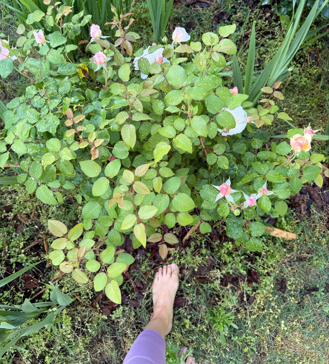 Ruby 🇺🇸 tweet media