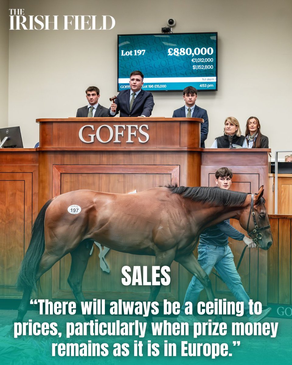 The Irish Field tweet media