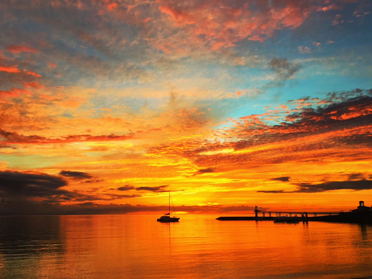 pommereau tweet media