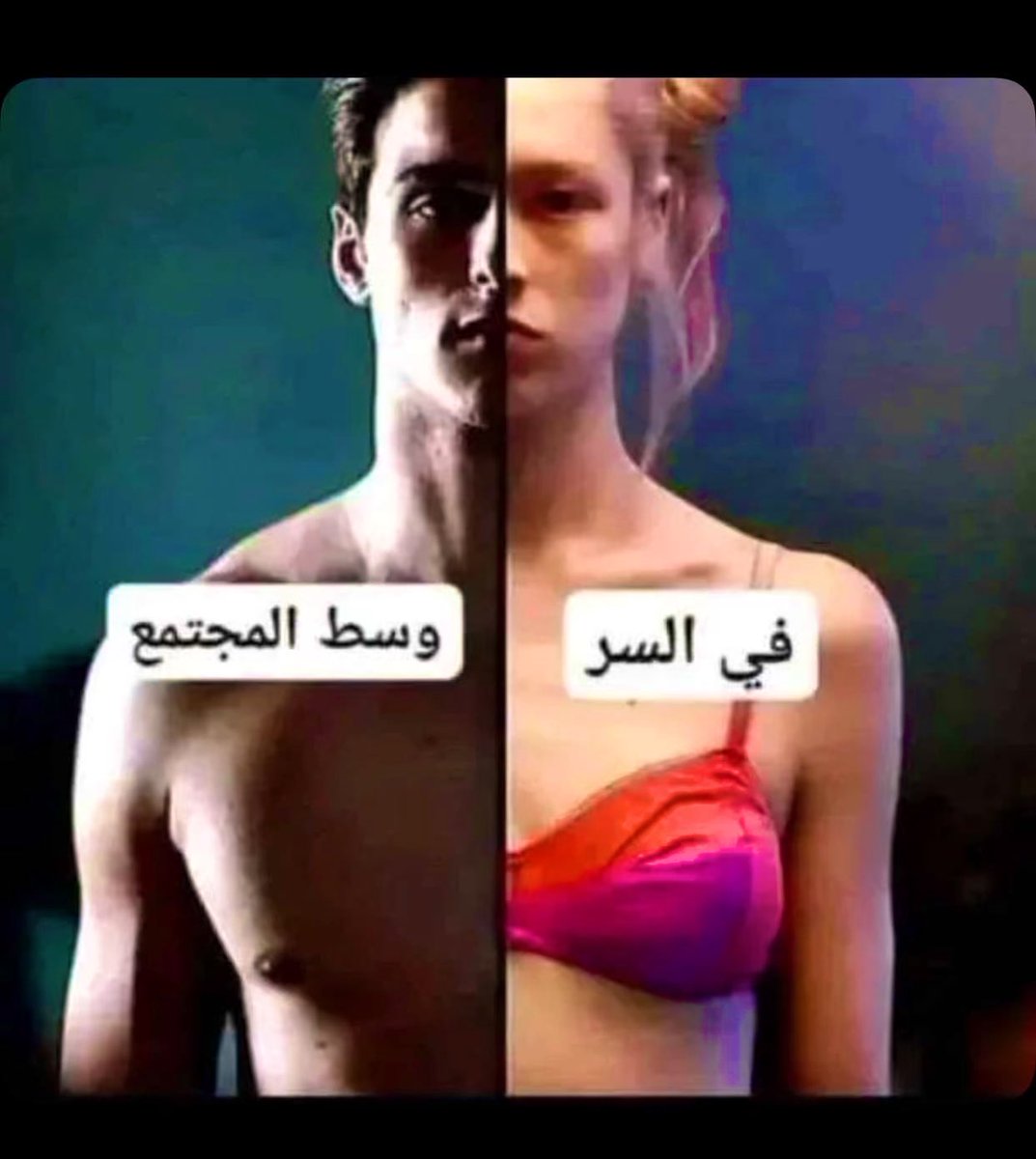 سالب عدني 25 tweet media
