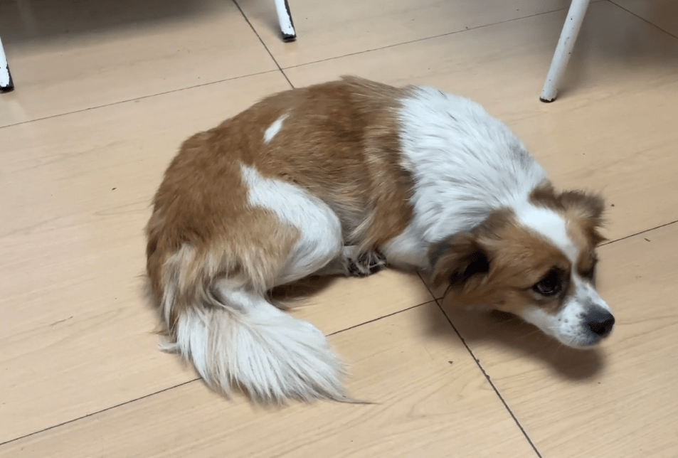 Edy dos santos tweet media