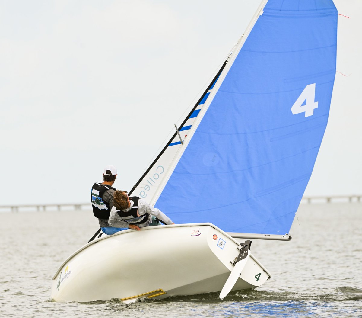 Green Wave Sailing tweet media