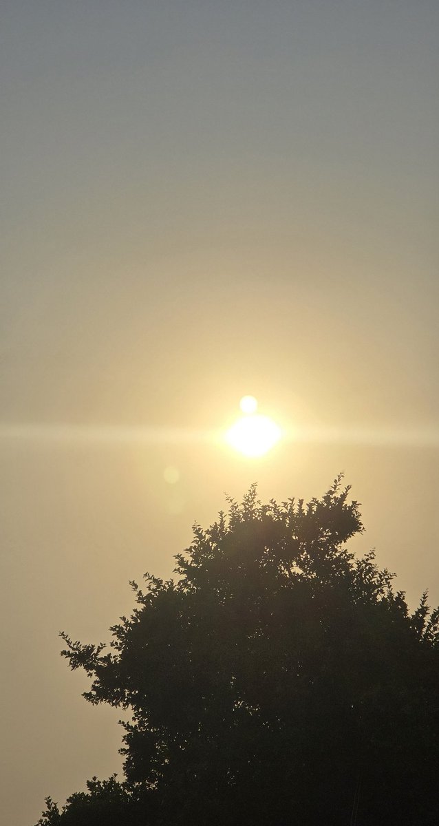 integridad_siempre tweet media