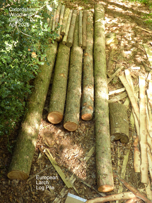 Oxfordshire Woodland Group tweet media