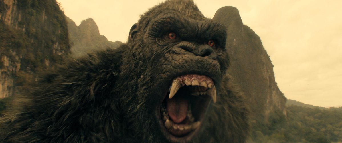 Toby Forshaw tweet media