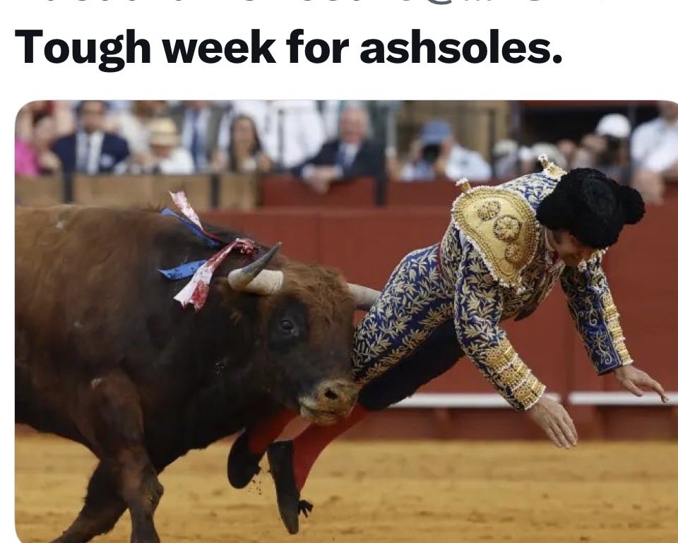 Jeanne in a Bottle 🍾 tweet media