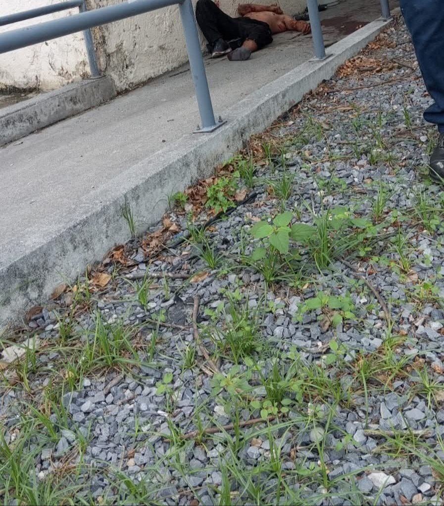 VALORPORTAMPS's tweet image. UN MASCULINO SIN VIDA Y CON EVIDENTE HUELLAS DE VIOLENCIA FUÉ ENCONTRADO ÉSTA MAÑANA EN LA COLONIAL HIDALGO MUNICIPIO DE #REYNOSA #TAMAULIPAS A UN COSTADO DE BODEGA AURRERÁ Y ÉL SEGURO SOCIAL DEL BOULEVARD HIDALGO.