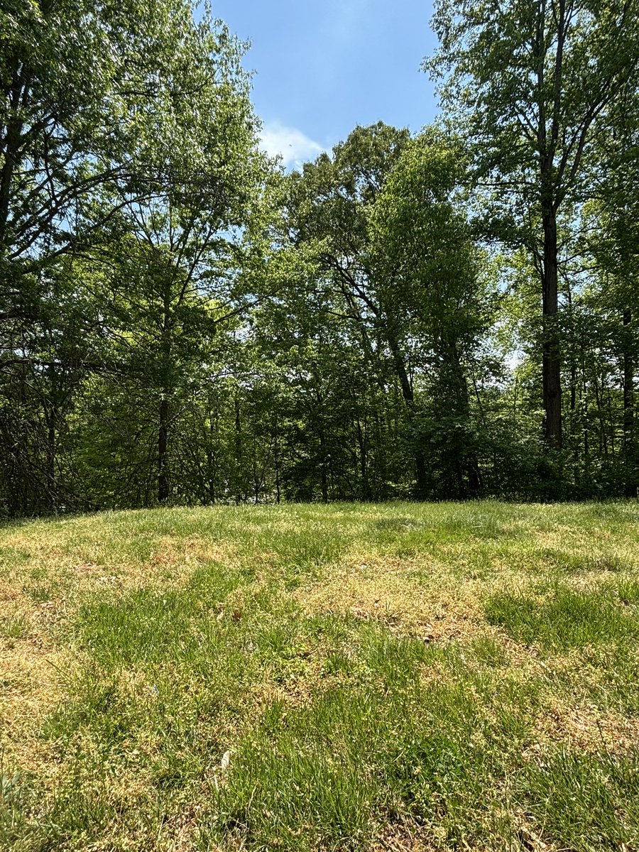 blipadrift's tweet image. #nocap