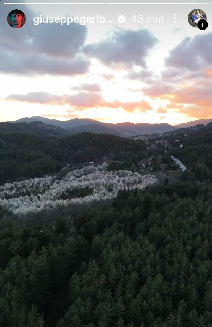 Maria Pia Dal zovo tweet media