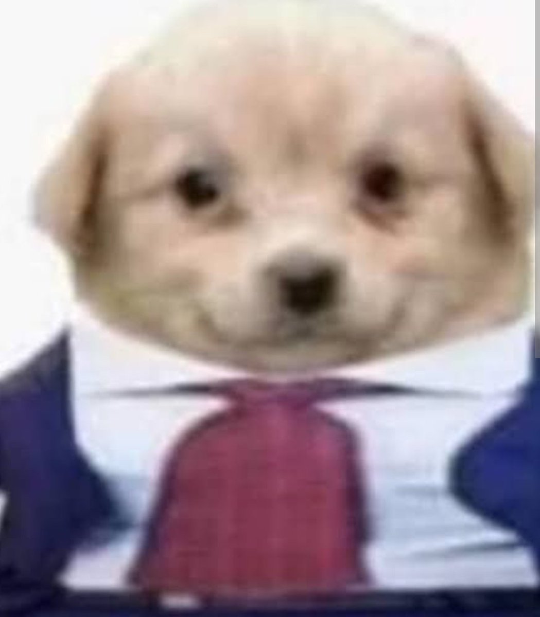 Inepilla 🤠 tweet media