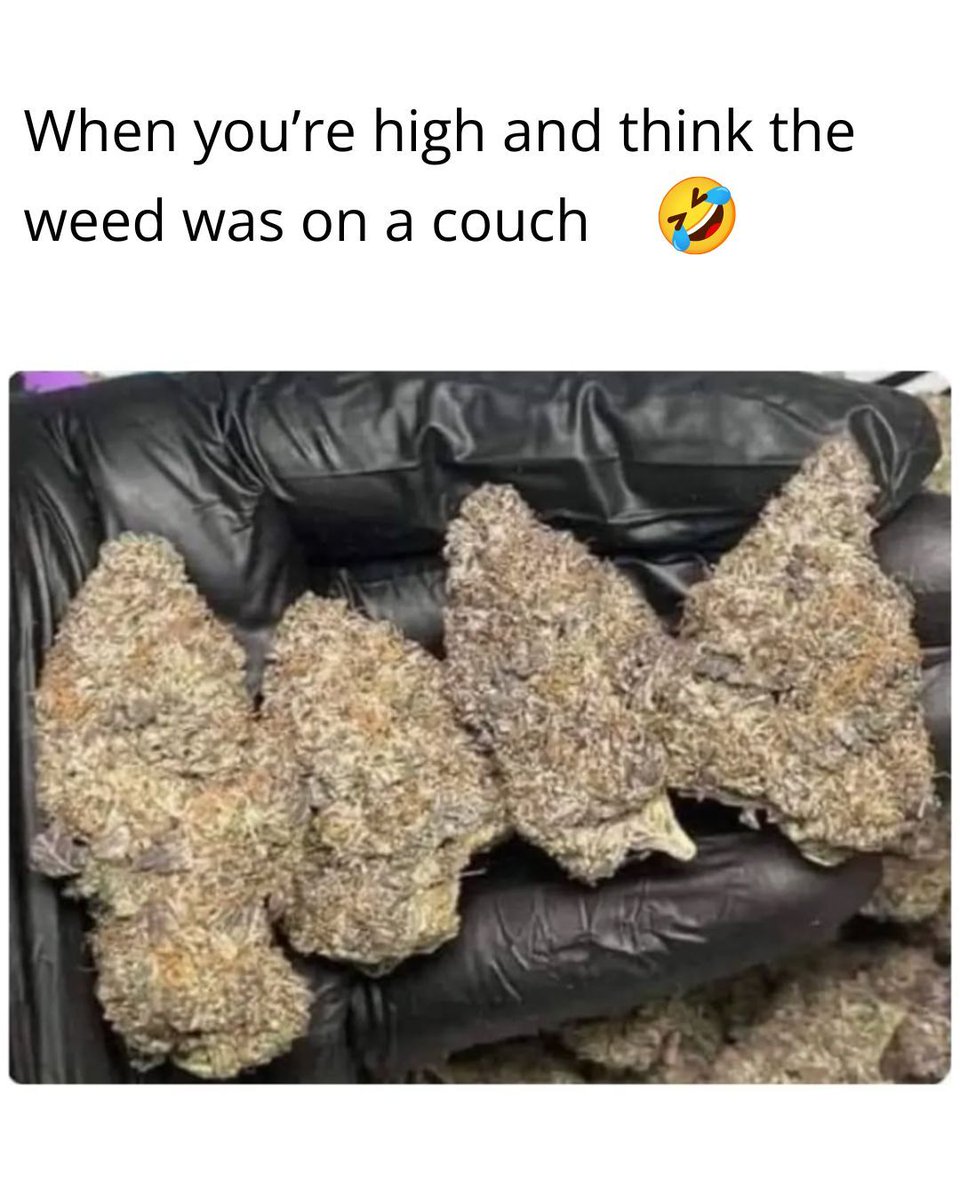 Weed Firm Official tweet media