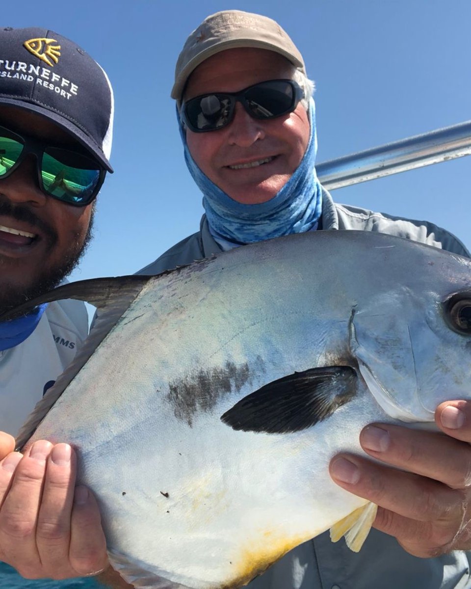 TurneffeResort's tweet image. Gerry returned for his eighth trip to our island and celebrated with three great #permit in his first three days of fishing. 

🎣: @fish_wizz on Instagram
