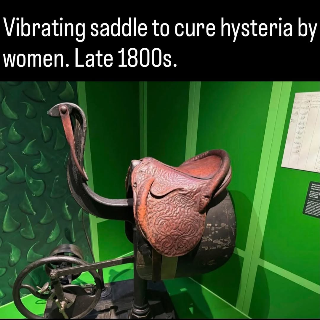 LAnDo NIFFIRG™️🇨🇦 tweet media