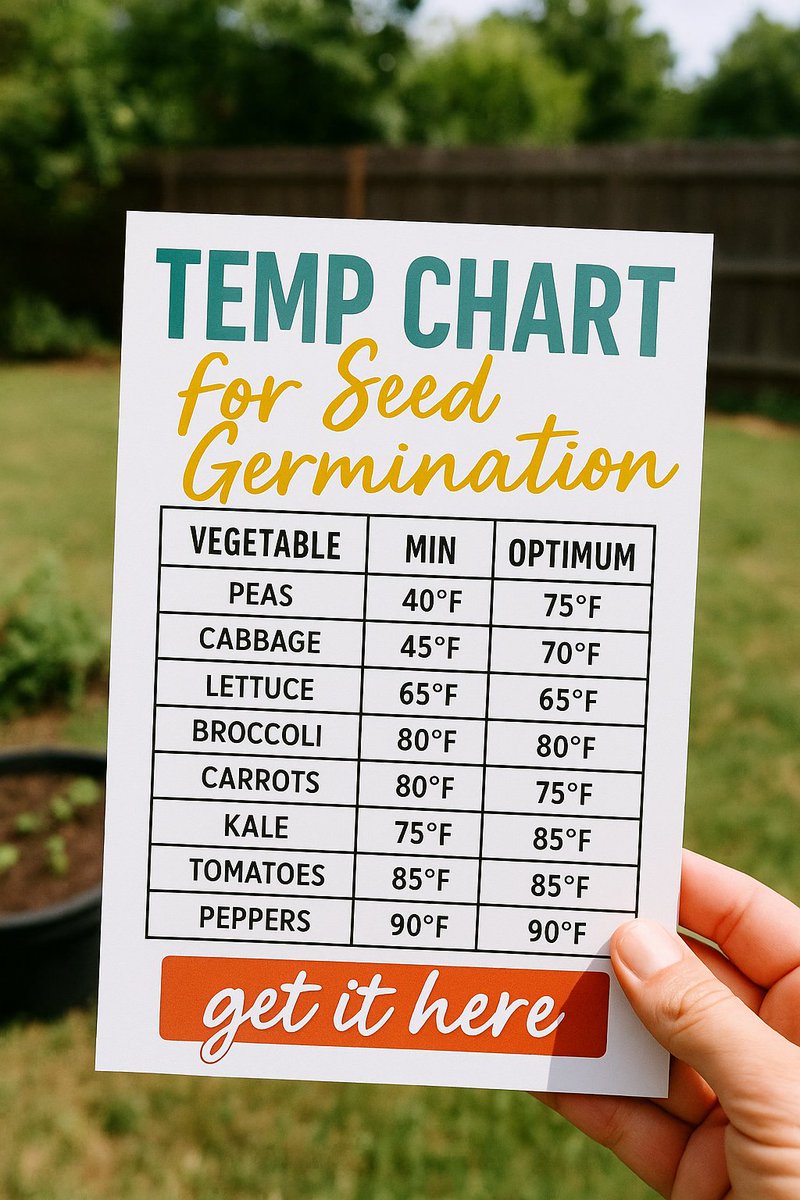 Dian_Farmer_'s tweet image. 🌡 Starting seeds? This chart helps you dial in the perfect soil temperature for germination - no more guessing.

👉 …edgerminationtemps-1ll.plannerpack.co

#SeedStarting #GerminationTemps #GardenPlanning #StartingSeeds #GardeningTools