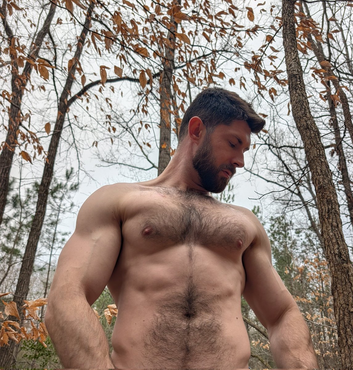 Daddylorian tweet media