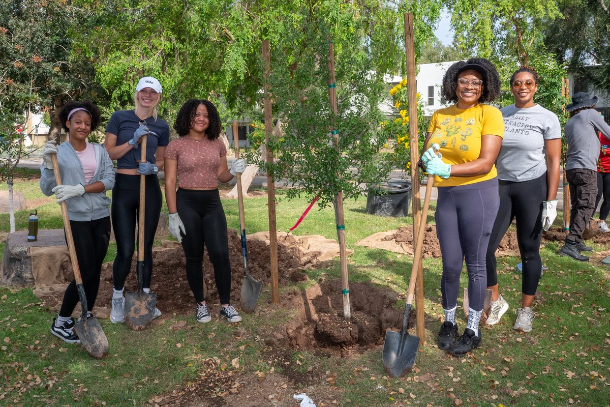 Tempegov's tweet photo. Happy Arbor Day, Tempe! 🌳 Tempe City Council proclaimed April as Arbor Month, and our staff and volunteers have been busy planting 75 brand new trees in our parks all month long!

Tempe has also been recognized for our efforts to increase our shade canopy as a Tree City USA Community by the Arbor Day Foundation, and we have received the Tree Cities of the World designation from the Food and Agriculture Organization of the UN and the Arbor Day Foundation.

Thank you to all the volunteers who have come together to plant new trees as we continue to recover from last fall's storms. Learn more about our tree programs, including how to increase shade in your yard, at https://t.co/xbLjy8kbbp.