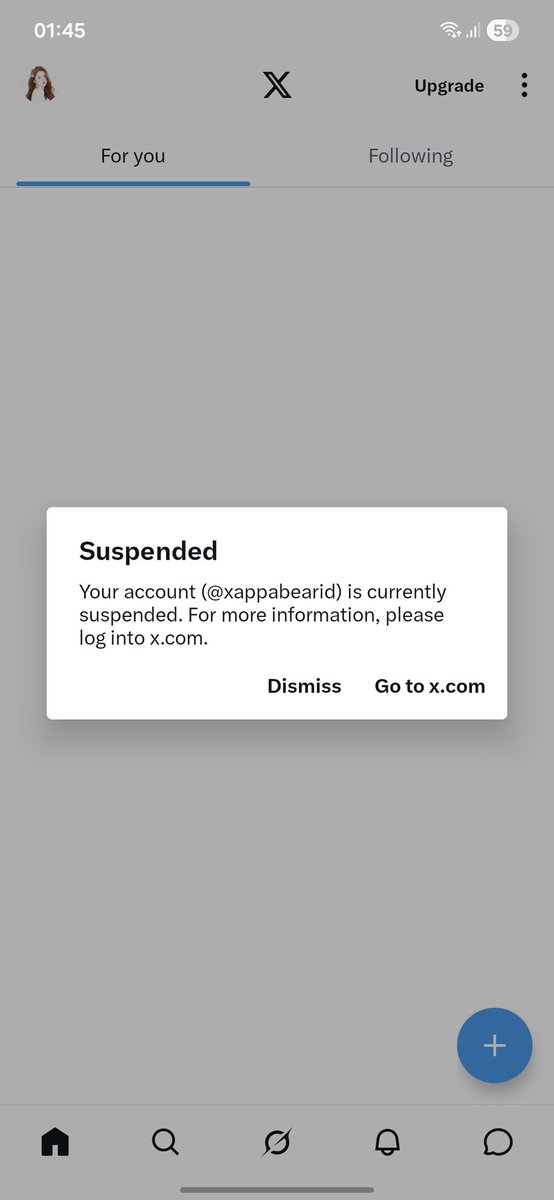 Appabear tweet media