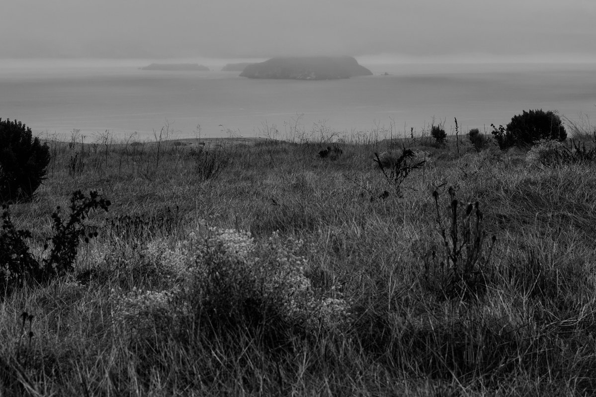 juanitodread's tweet image. Hoy no es un día común.
Hoy te escaparás.
Hoy no es un día común.
Hoy te elevarás.

#juanitodreadPhotography #photography #nikon #d780