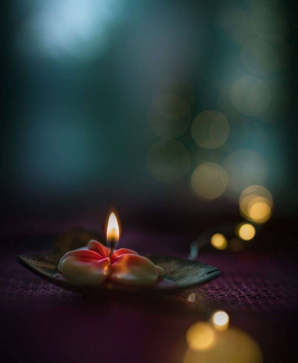 ...*بـــدر *... tweet media