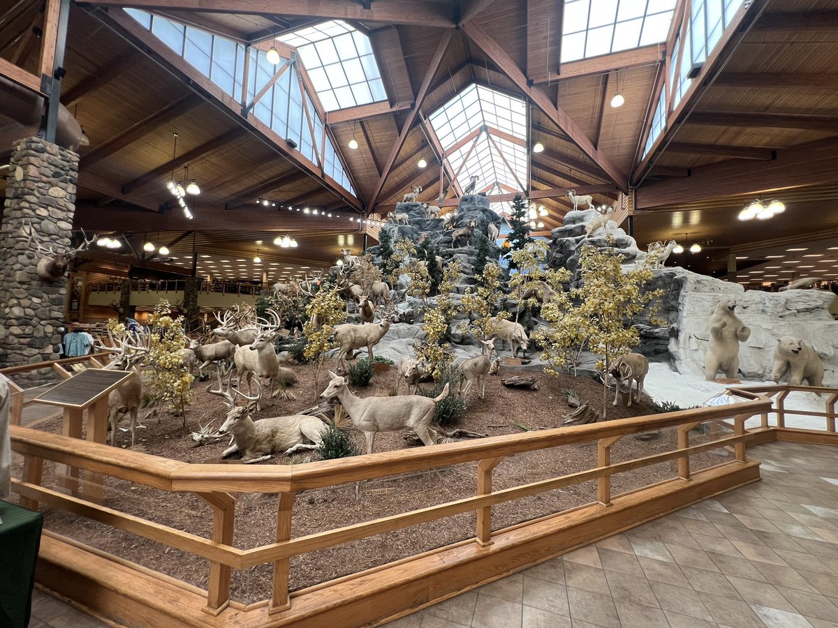 MattH-23 tweet media