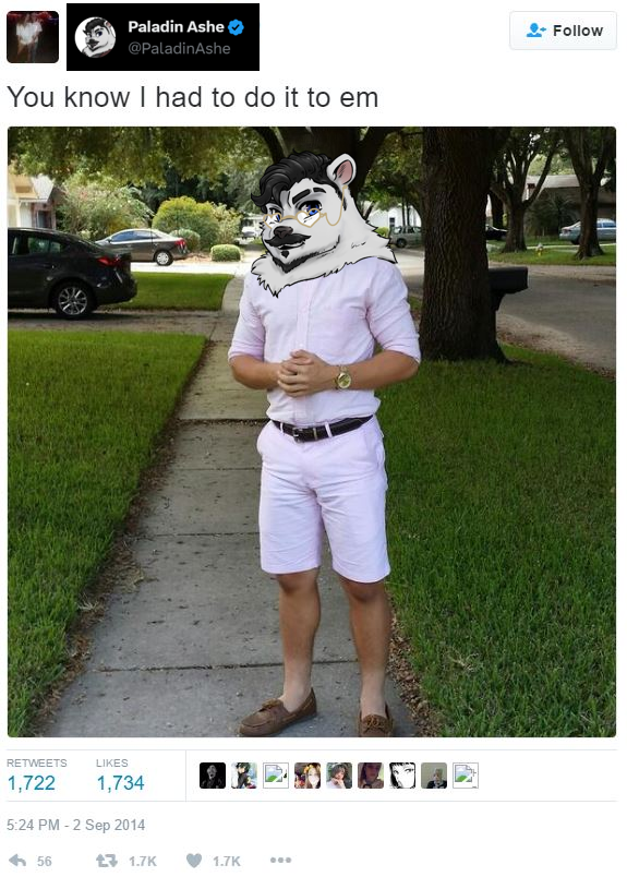 Paladin Ashe tweet media