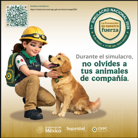 Issste Querétaro tweet media