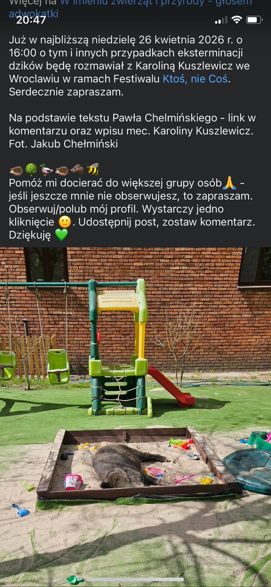 Ka SzaLew 📚 tweet media