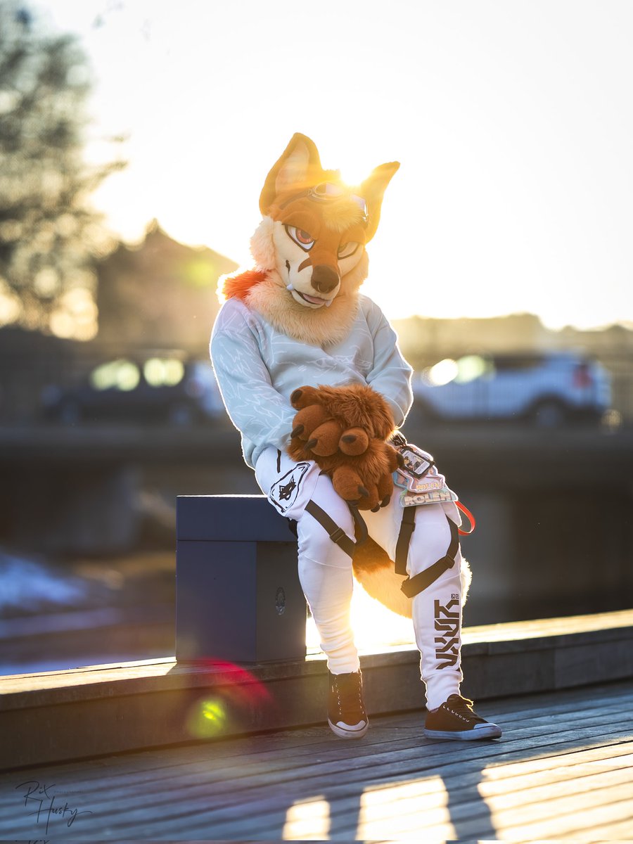 Rolen🦊 tweet media