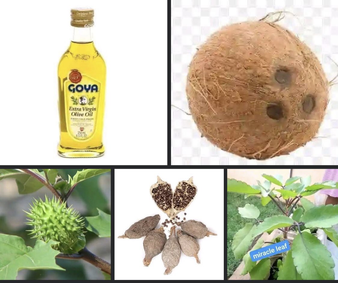 O.R.A.C.L.E 🪬🕊️ tweet media