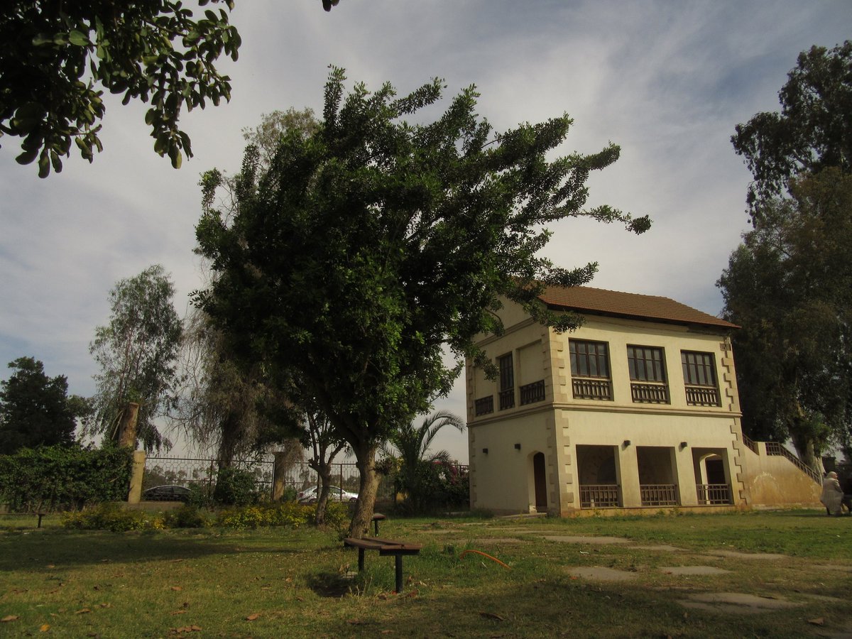 مُوسَى tweet media