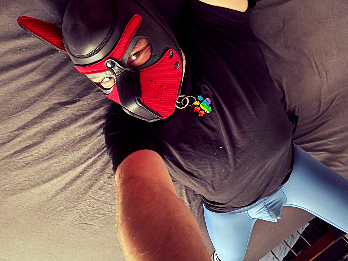 Pup_Spike | HypnoGooner tweet media