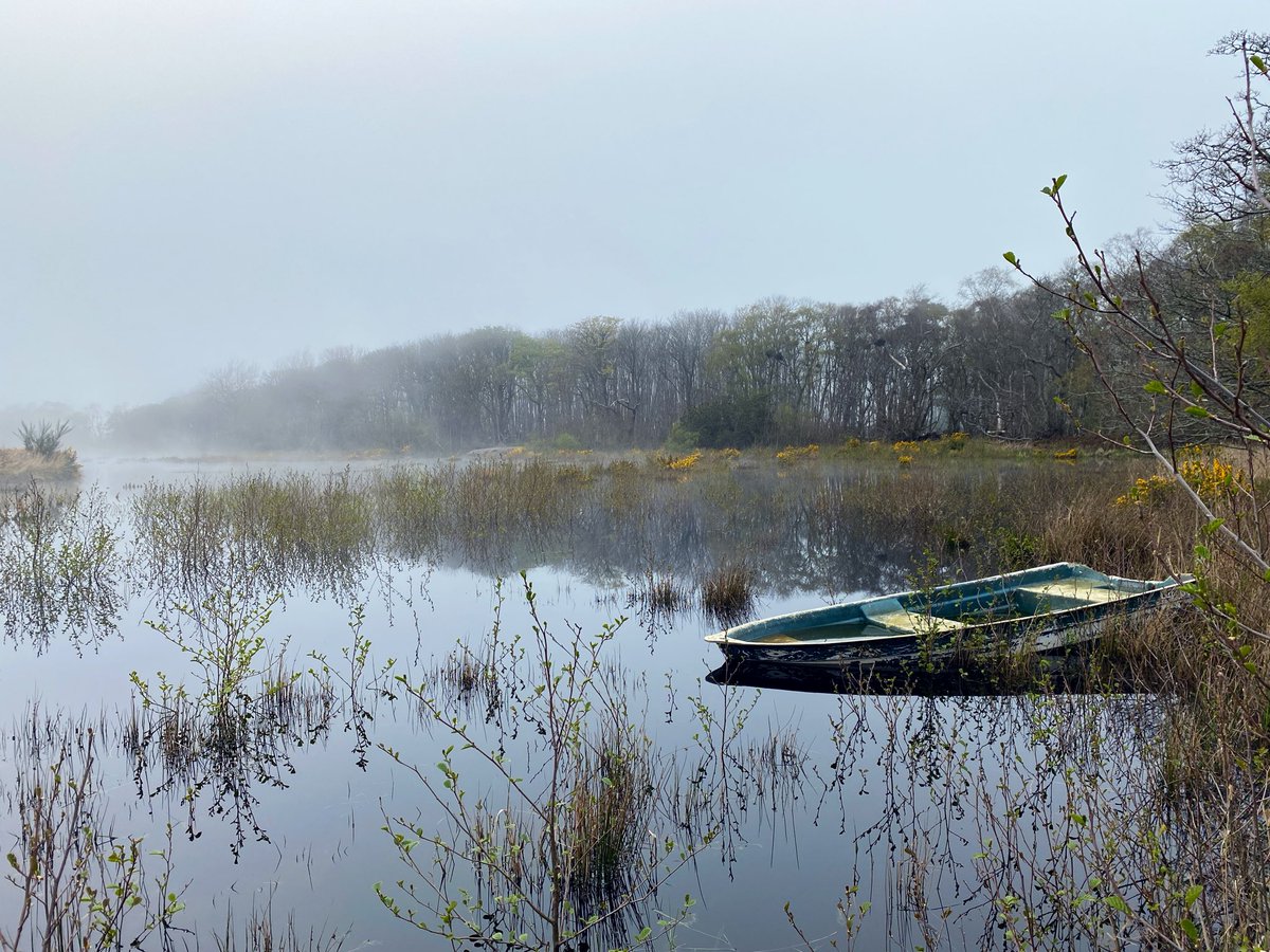 AilishSinclair's tweet image. It’s all misty and mysterious up at the loch tonight… #Scotland
