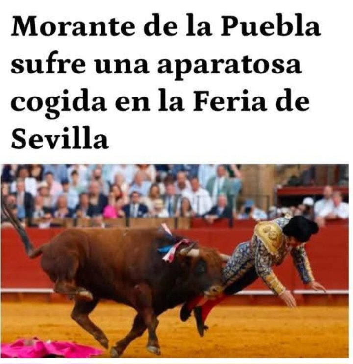 Aplausos para el Toro!!!👏👏👏