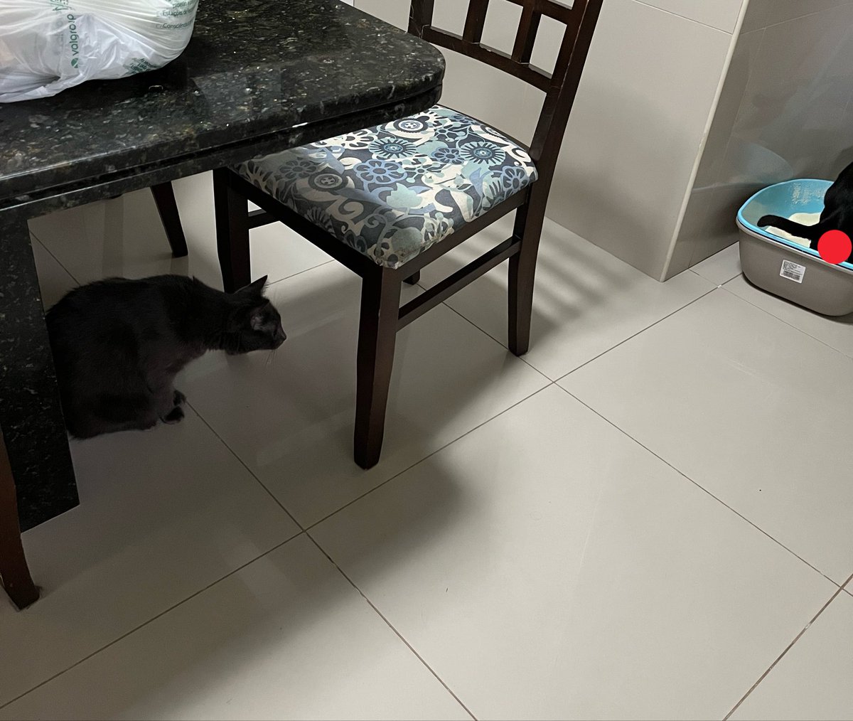 lesbicha tweet media