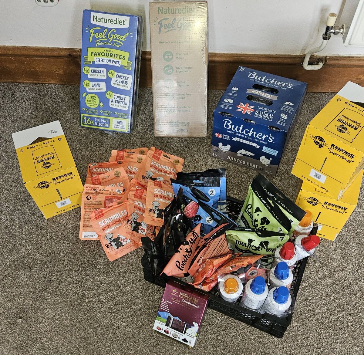 Thank you to Helen Long in memory of Maisie,Jackie Hocking, Hattie &amp; Eric. Edwina Burke, Trudie Seal,Ms Nina LB Ritchie,Danielle Gregory,Margaret Brown,Barbara Tandy, Kongs from Kong,Patricia M Crighton, &amp; another huge donation from Sharon &amp; their beloved Barney &amp; Nellie ❤️❤️❤️❤️