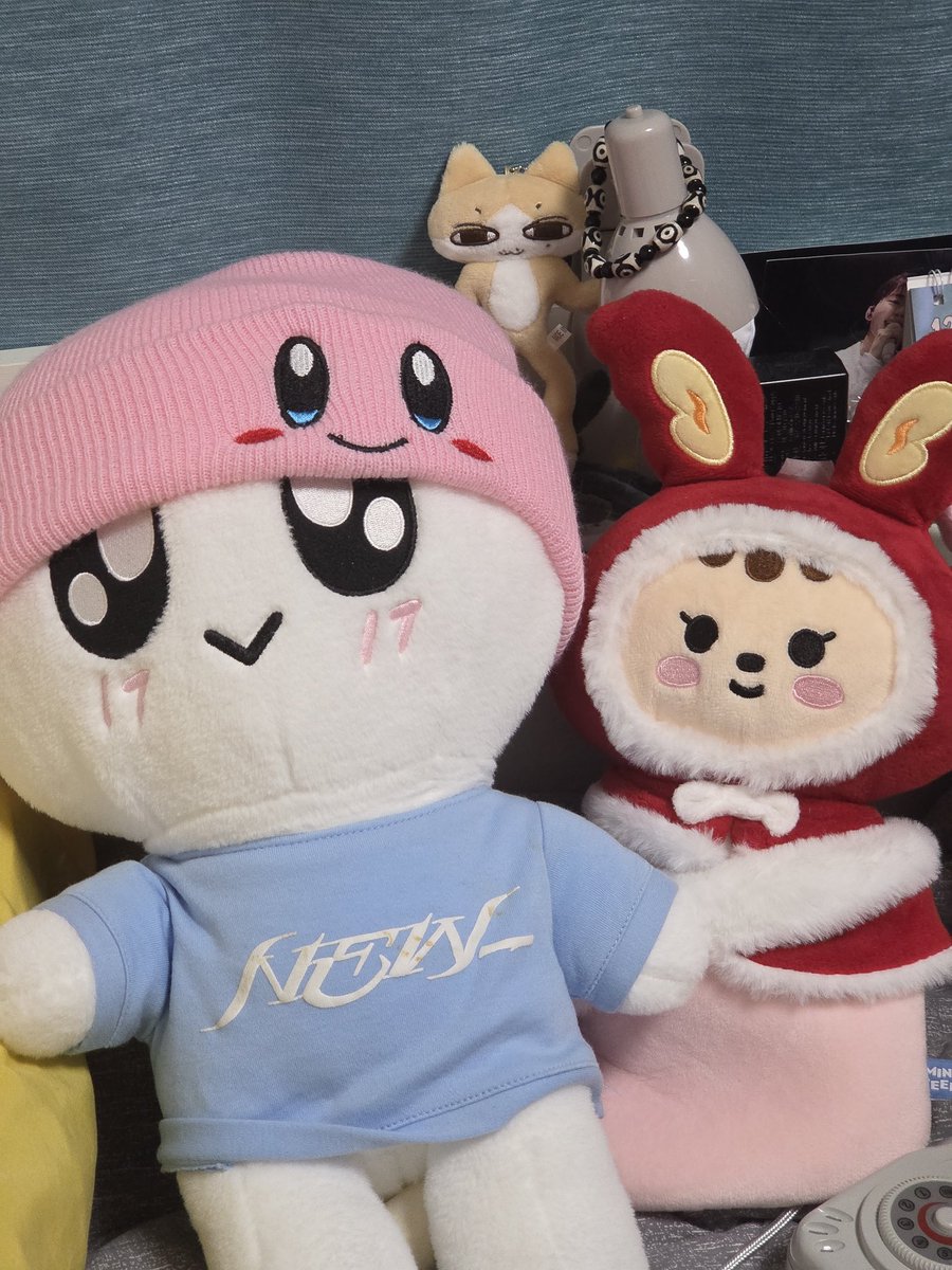 슈떡(상태: 캐럿) tweet media