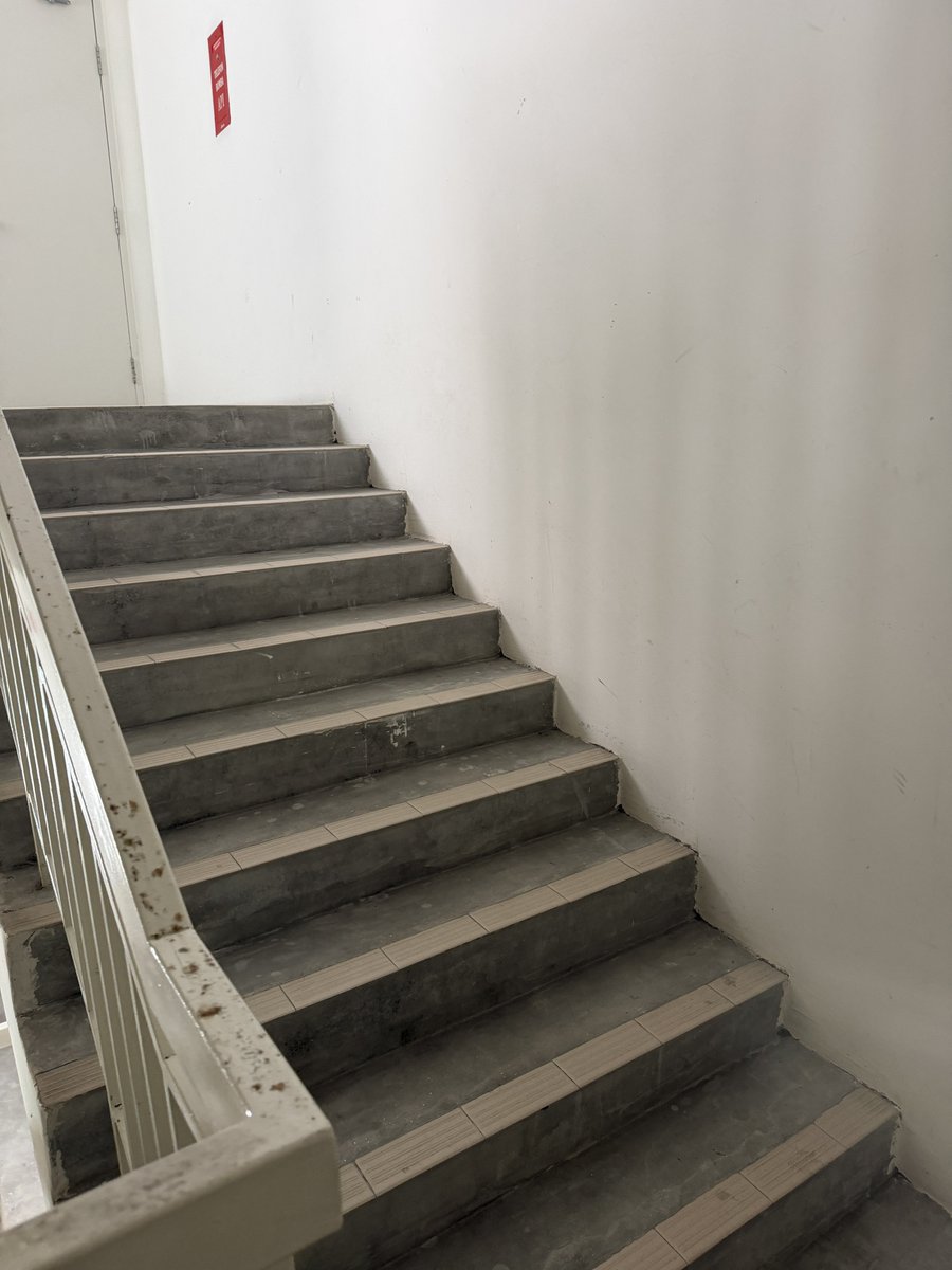 rana / bella tweet media