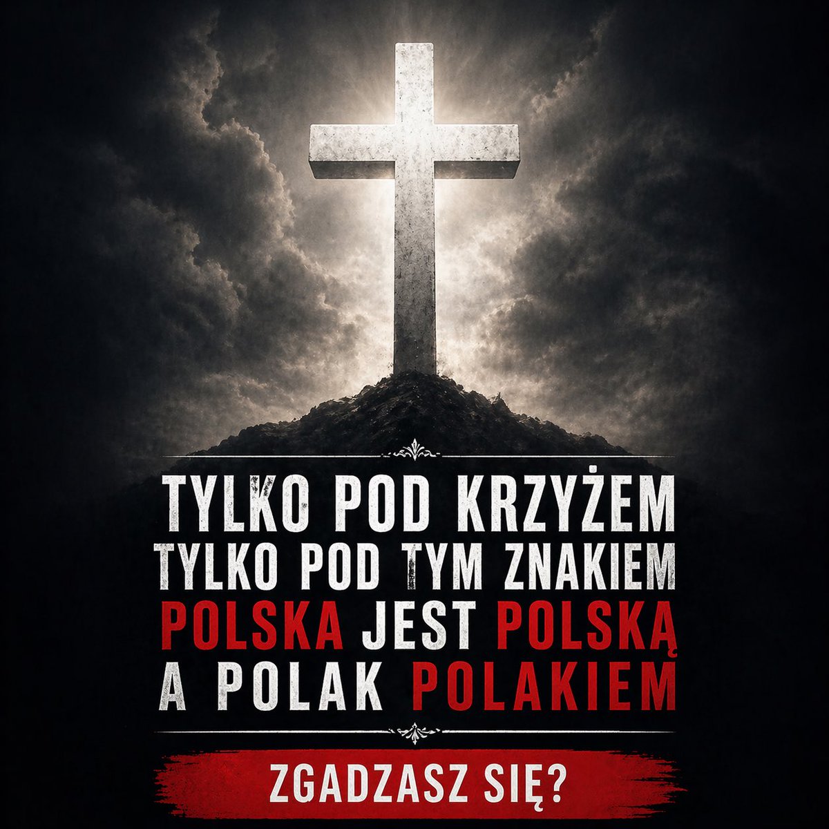 Roman Majewski 🇵🇱 tweet media
