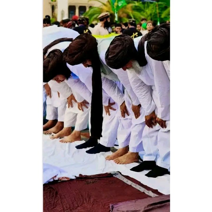 خنجرِ رضا⚔️🇵🇸 tweet media