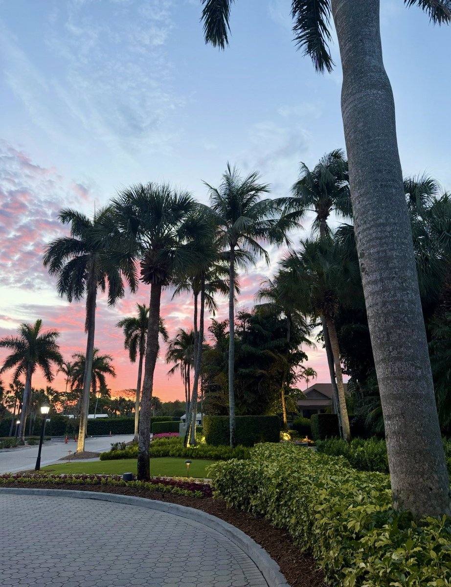 genesis_dist's tweet image. We sponsored the 34th Annual Spring Turfgrass Symposium in Naples, FL yesterday put on by the Everglades GCSAA!⛳️We enjoyed learning about the latest trends and advancements in golf course management throughout the day. Thanks for having us!

#Florida #Turfgrass #Spring #Golf