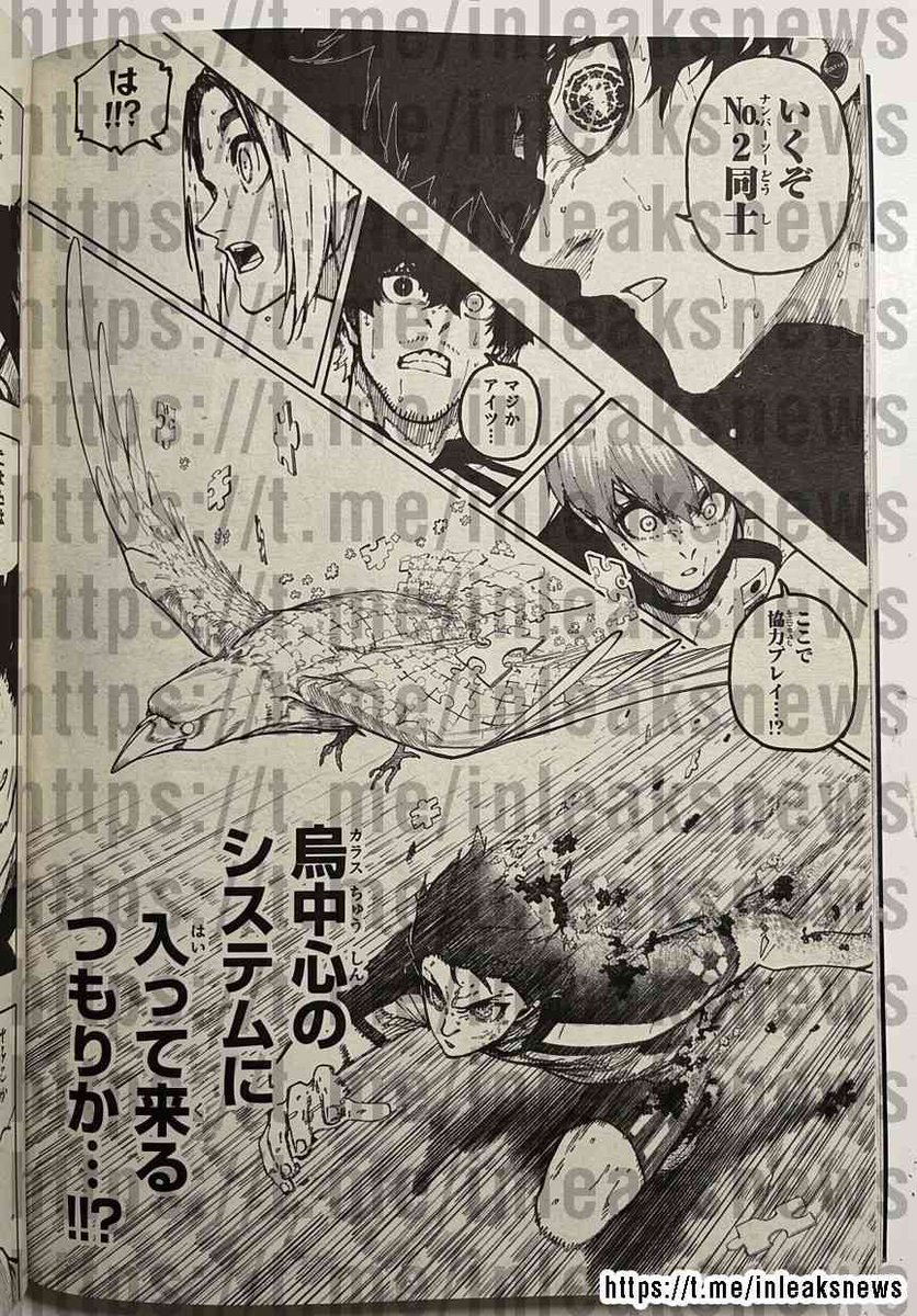Indomitable yoichi tweet media